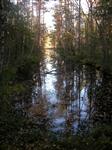 Kanal  från ångsåg till gölen